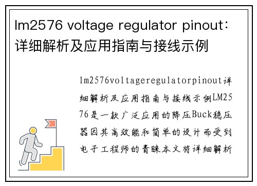 lm2576 voltage regulator pinout：详细解析及应用指南与接线示例